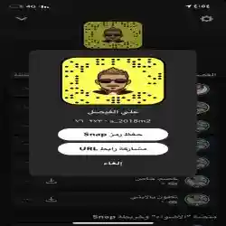 علي الفيصل 