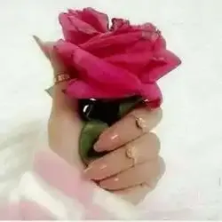 دانه 