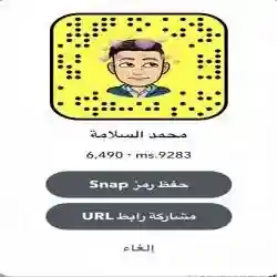 محمد السلامة