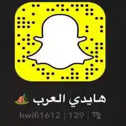 هايدي العرب