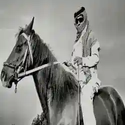 محمد