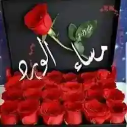عباس الخشاب 