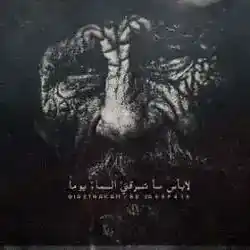 استحكام | ميتّ