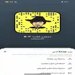 محتوى هفسه 
