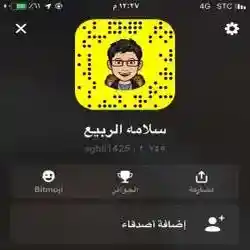 سلامه الربيع 