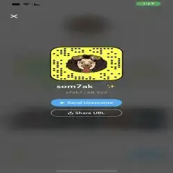 سلي