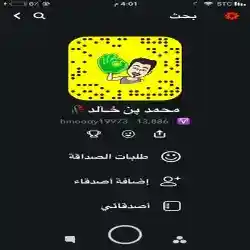 محمد بن خالد 