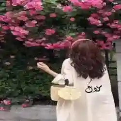 المــــ ♔ ــــلاگ..❥ 