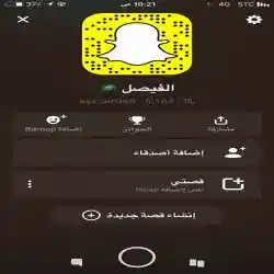 فيصل