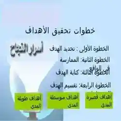 التسويق الشبكي