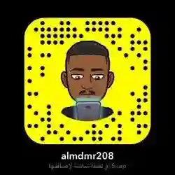 almdmr208