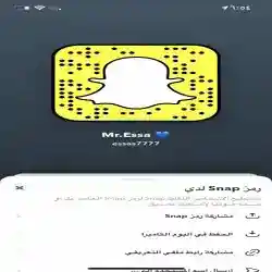 الكاسر