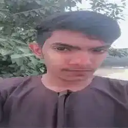 مسترهم 
