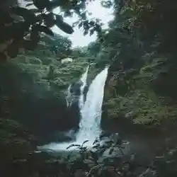 لحظة فرح ❤️