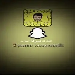 NAJEH ALOTAIBI 