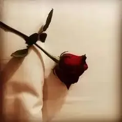 مجهول