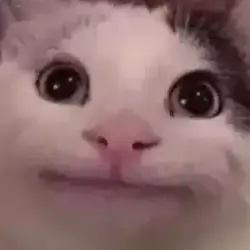 روووزي