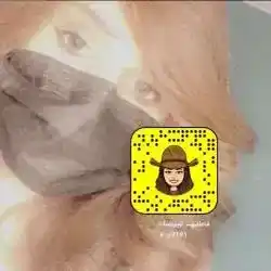 فاطمه البيضاء