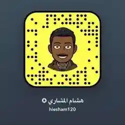 هشام 