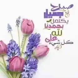ماجد...