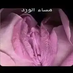 عبدالعزيز