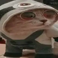 فيصل 