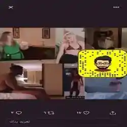 عبود