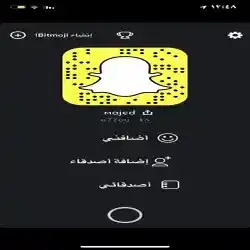 Majed