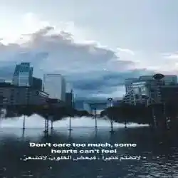 مشاري