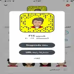 حربF15