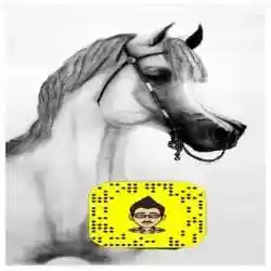 فضاوة رسام