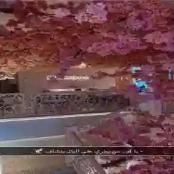 عمر