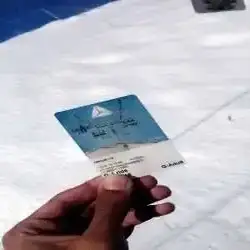 خالد