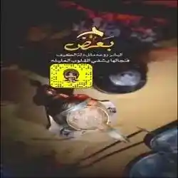 ssaltan453