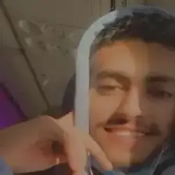 Hamed