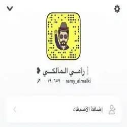 رامي المالكي