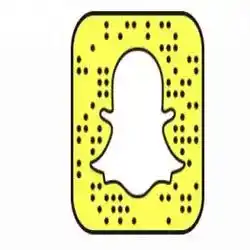 ديم