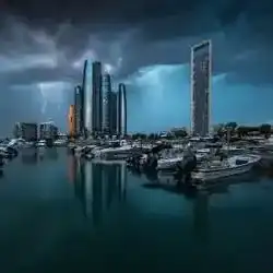 فهد