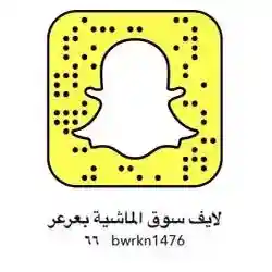لايف سوق الماشية بعرعر