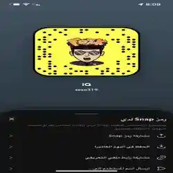 Saif iQ