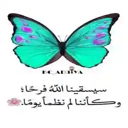 ورده