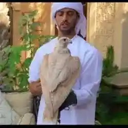 راشد