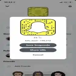 فيصل