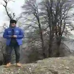 وليد