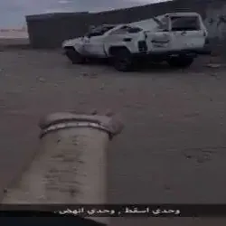 ربشهـه 
