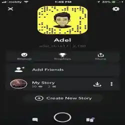 Adel