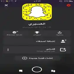 العسيري