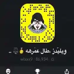 المحامي ابو شوشه..