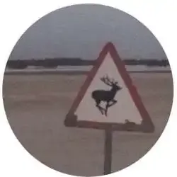 Am