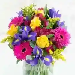 تعارف بنات فقط